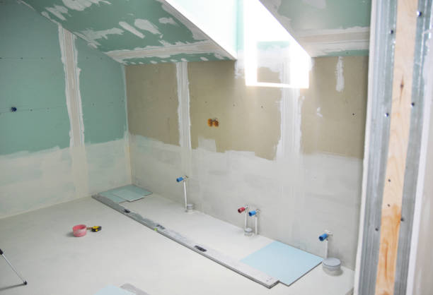 Best Black Mold Removal  in Princeton, WV