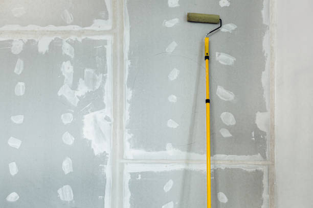 Best Post-Construction Mold Inspection  in Princeton, WV