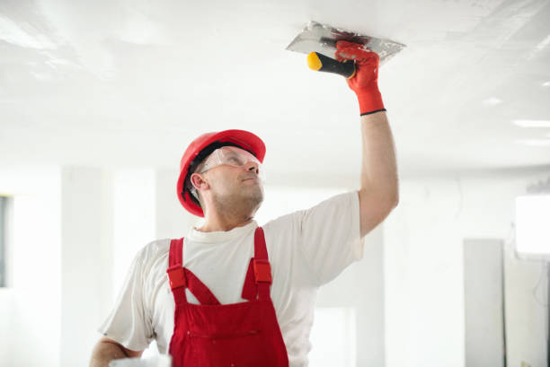 Best Commercial Mold Inspection  in Princeton, WV
