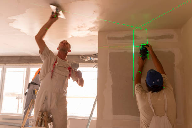 Best Black Mold Removal  in Princeton, WV
