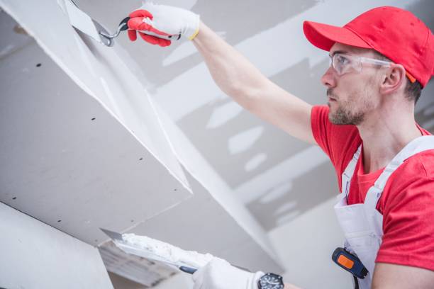 Best Mold Damage Restoration  in Princeton, WV